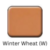 Winter Wheat